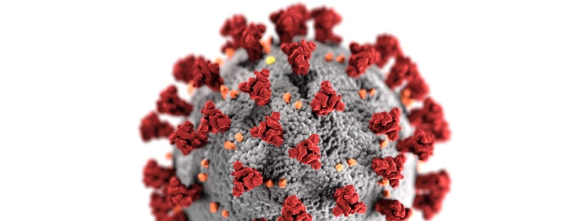 COVID Photo by CDC on Unsplash